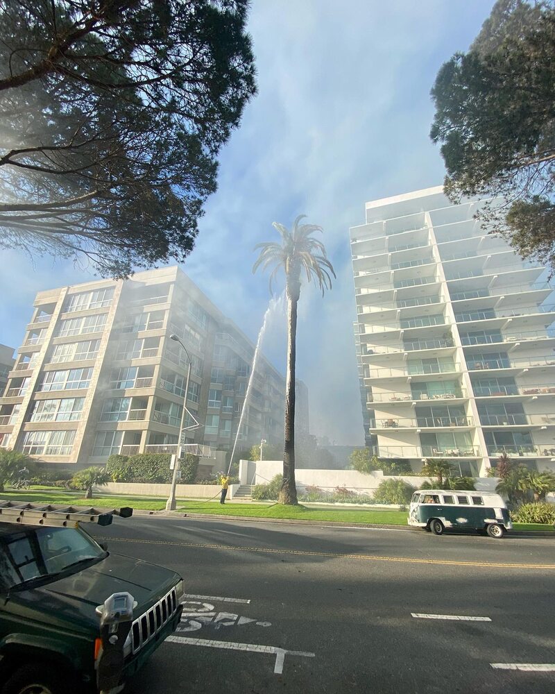 Fire In Palisades Park Caused By Homeless Camping In Public Park, Says ...