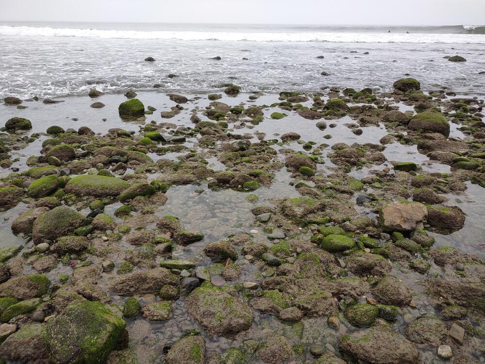 Beach Warnings for Los Angeles County October 24, 2024 Santa Monica