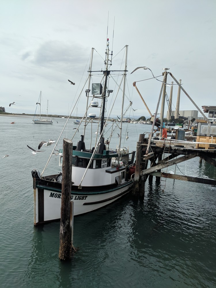 The Place that Launched 1000 Boats Morro Bay, California Simply